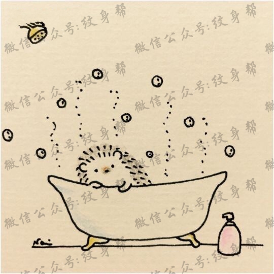 卡通刺猬手稿_18张可爱的小清新卡通创意刺猬纹身手稿图案