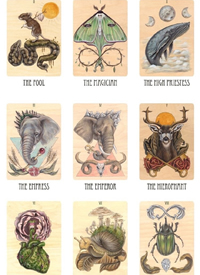 塔罗牌素材_几张塔罗牌的纹身手稿素材图案图片