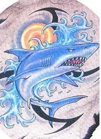 鲨鱼纹身手稿_33张海底动物纹身鲨鱼手稿图案图片