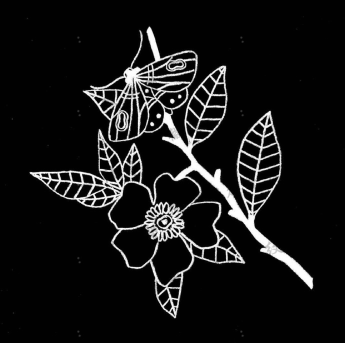 黑白色调手稿_27张由黑白色调组成的创意纹身手稿图案