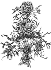 黑白色插画_一组9张黑白色好看的插画纹身手稿图案图片