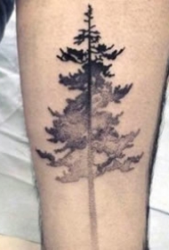 渐变纹身   唯美而又多变的渐变纹身图案