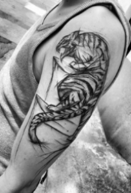 动物线条纹身_9张国外大师的黑灰线条动物纹身图案作品图片