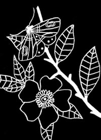 黑白线条纹身手稿图案-18张黑白线条的纹身手稿图片