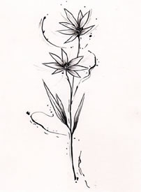 超简约的植物花朵线条纹身手稿图