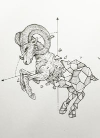 35张几何动物碎片风纹身手稿图案--来自菲律宾插画师kerby rosanes