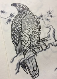 老鹰纹身手稿--18张传统老鹰纹身手稿图案