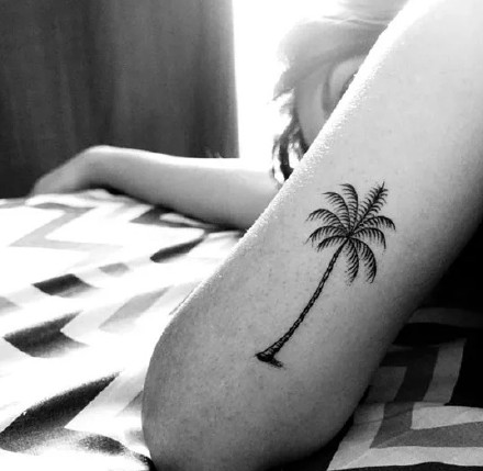 椰子树纹身图--9张简约的黑色椰子树纹身图案作品