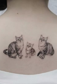 猫纹身作品--9张把宠物猫纹在身上的纹身图案作品
