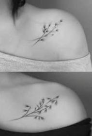 适合女生的一组小清新简约植物纹身图案
