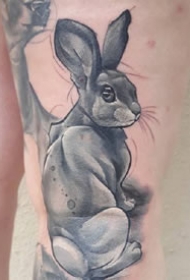 几张个性的动物水彩色纹身图案