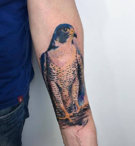 唯美水彩纹身--一组适合手臂等部位的水彩动物纹身图案