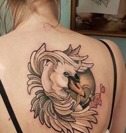 天鹅纹身图--一组关于天鹅的漂亮纹身图案欣赏