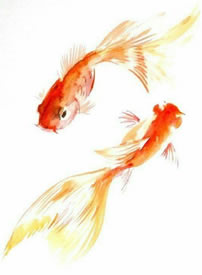 一组成对的金鱼纹身手稿图案9张