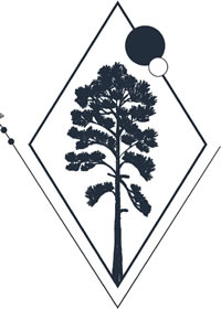 来自ins上的黑白手绘平面几何插画几十张