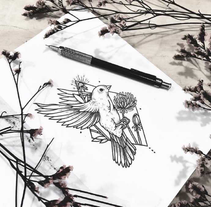 14张女生喜欢的花草植物动物小清新纹身图案线稿