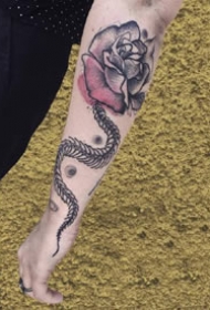一组漂亮的个性点刺纹身图案作品