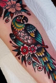 oldschool花鸟纹身-9张彩色的花鸟oldschool纹身图案