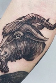 一组暗黑色的黑灰点刺纹身图案作品20180810