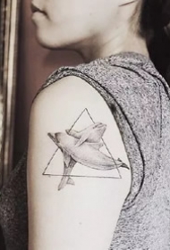 简单又好看的一组小海豚纹身图片