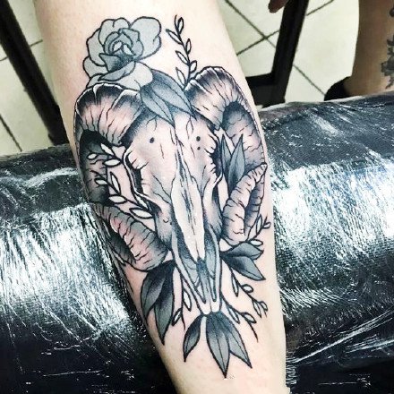 好看的羊头纹身图案作品一组9张