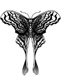 一组黑灰色的蝴蝶纹身手稿素材图案