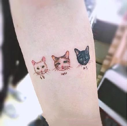 可爱的萌萌哒宠物小猫咪纹身作品图案