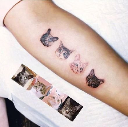可爱的萌萌哒宠物小猫咪纹身作品图案