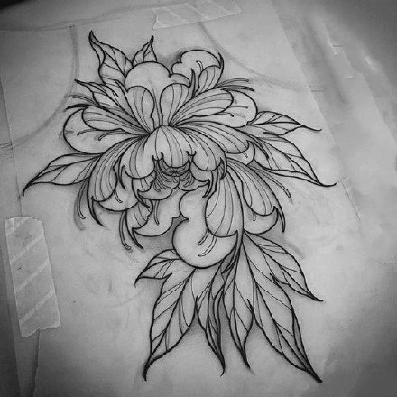 20张花卉花朵的线稿纹身手稿图案