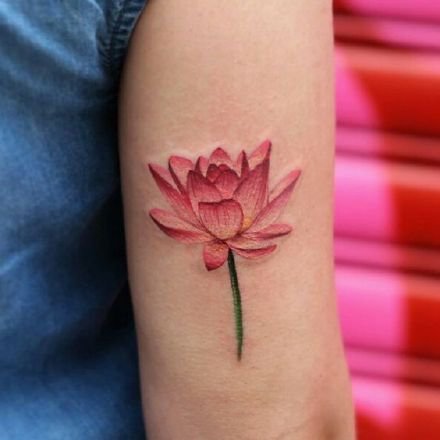 出淤泥而不染寓意的彩色莲花纹身图案