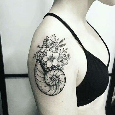 一组漂亮的海螺纹身图案作品9张