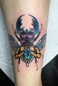一组彩色昆虫动物系列的school纹身图案欣赏