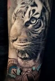 写实的一组百兽之王老虎纹身图案作品