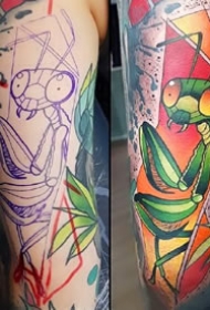 一组欧美彩色纹身的割线和成品对比图