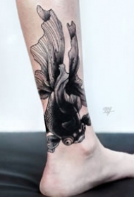 一组金鱼相关的纹身图案作品9张