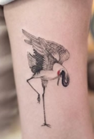 一组仙鹤相关的9张仙鹤纹身图案欣赏缩略频道推荐图