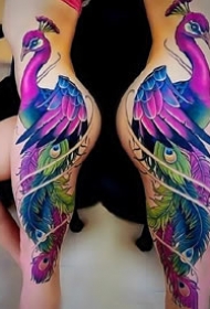 大幅的彩色孔雀纹身图案作品9张