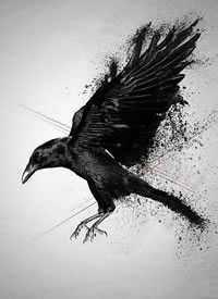 深黑色的一组乌鸦纹身手稿图案欣赏