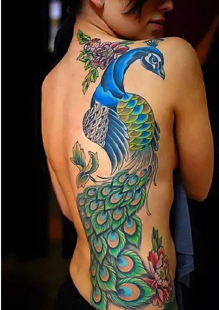 很精致的一组大幅彩色孔雀纹身图案作品