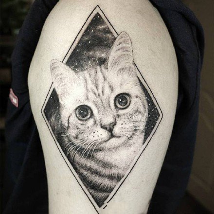 一组黑灰色的几何图形+小猫纹身图案欣赏