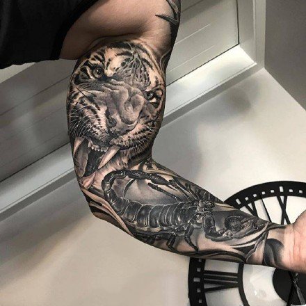 写实风格的一组森林之王黑灰老虎纹身图案