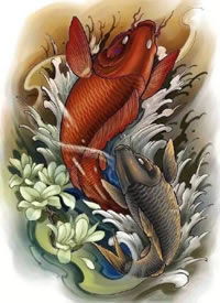 彩色的一组锦鲤鱼半甲纹身手稿图案缩略频道推荐图