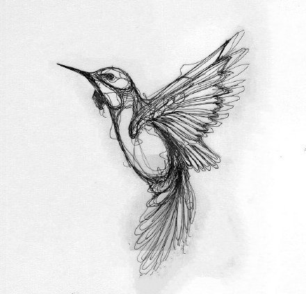 纯黑色的一组老鹰乌鸦等飞鸟类纹身手稿欣赏