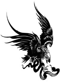 纯黑色的一组老鹰乌鸦等飞鸟类纹身手稿欣赏