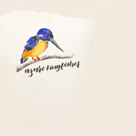 水彩水墨风格的一组飞鸟等动物纹身手稿图案