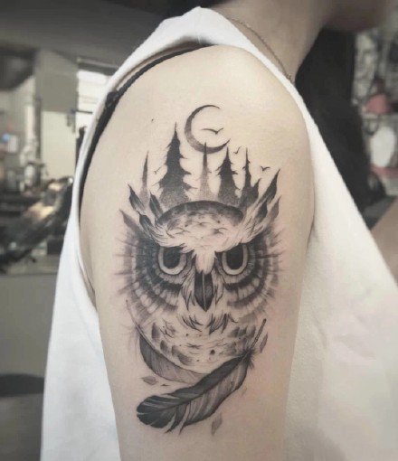 个性猫头鹰纹身：黑灰风格的一组猫头鹰纹身图案作品