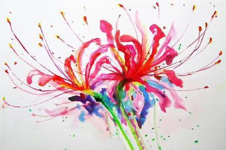 红色彼岸花手稿：一组红色的曼陀罗彼岸花纹身图案手稿