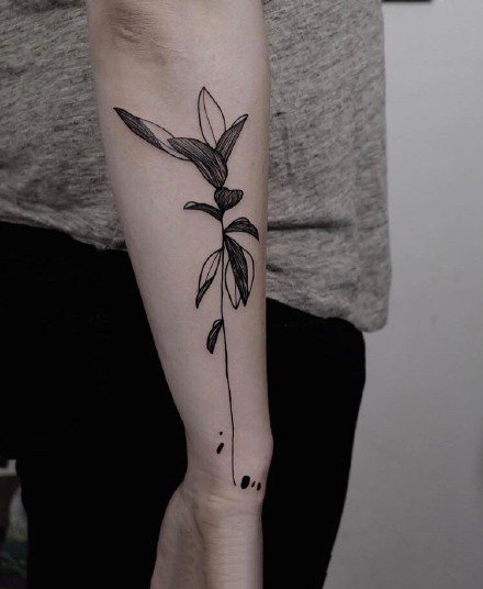 女生手臂上的极简线条组成的花卉纹身图案