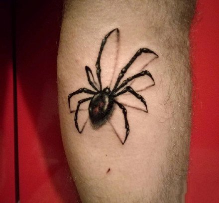 9张很个性的一组蜘蛛纹身图案欣赏