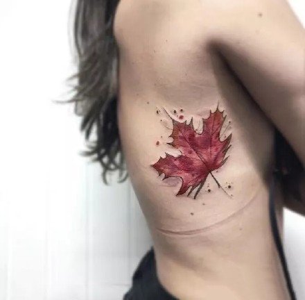 枫叶纹身图片：漂亮的一组枫叶纹身作品图片欣赏